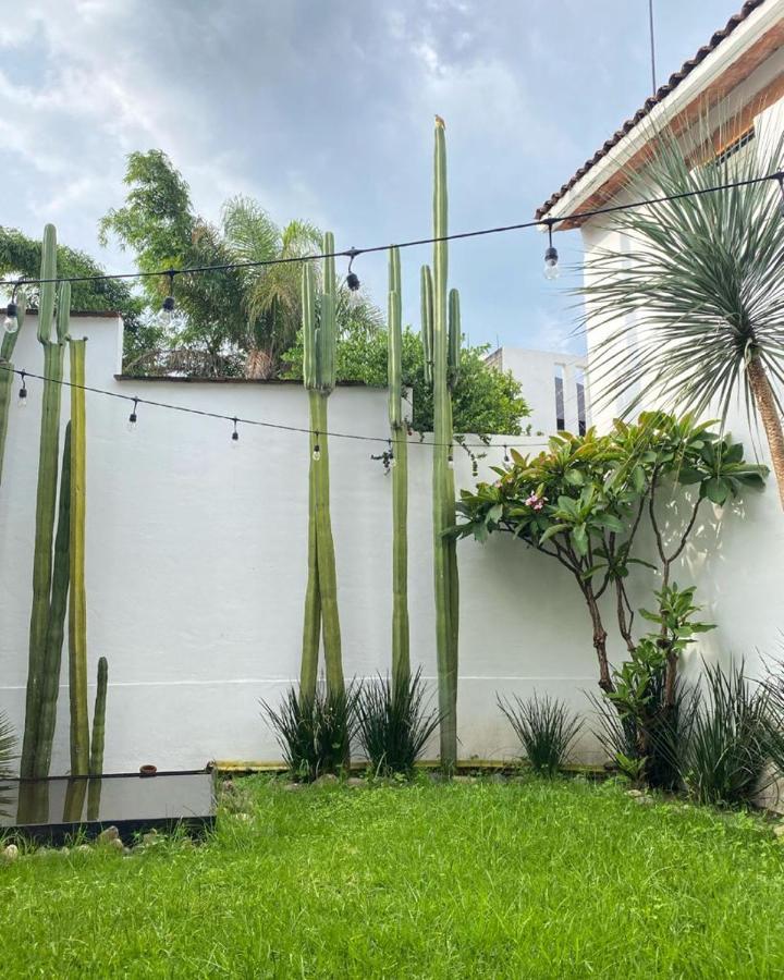Casa Mayo B&B Oaxaca Экстерьер фото
