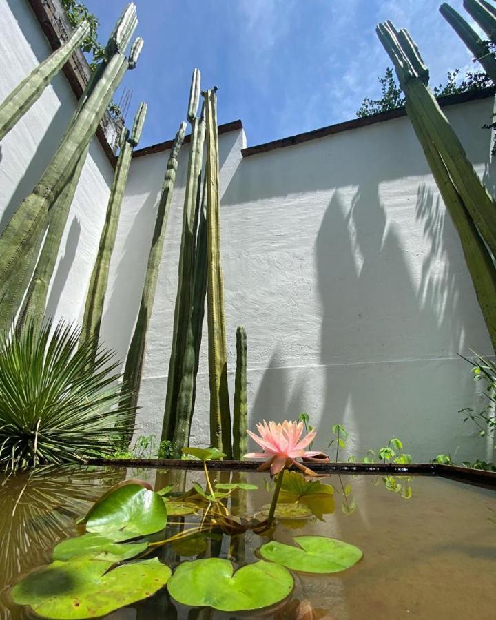 Casa Mayo B&B Oaxaca Экстерьер фото