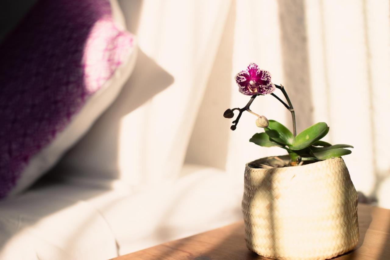 Casa Mayo B&B Oaxaca Экстерьер фото